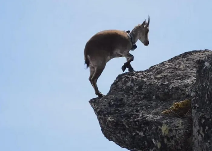85 M2 De Plain-pied, 2chambres, 3 Lits Dans Maison Confortable Avec Vue Sur La Vallee Et Les Pyrenees Ariegeoises, Grande Terrasse Avec Barbecue Et Parking Gratuit * Castéras