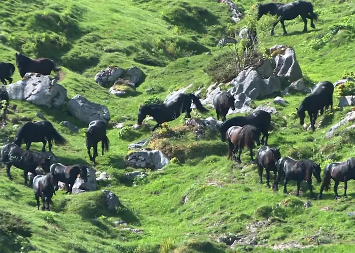 아파트 85 M2 De Plain-pied, 2chambres, 3 Lits Dans Maison Confortable Avec Vue Sur La Vallee Et Les Pyrenees Ariegeoises, Grande Terrasse Avec Barbecue Et Parking Gratuit Castéras