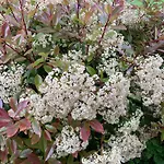 Apartamento 85 M2 De Plain-pied, 2chambres, 3 Lits Dans Maison Confortable Avec Vue Sur La Vallée Et Les Pyrénées Ariégeoises, Grande Terrasse Avec Barbecue Et Parking Gratuit