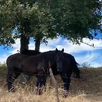85 M2 De Plain-pied, 2chambres, 3 Lits Dans Maison Confortable Avec Vue Sur La Vallée Et Les Pyrénées Ariégeoises, Grande Terrasse Avec Barbecue Et Parking Gratuit Castéras