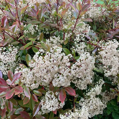 Appartement 85 M2 De Plain-pied, 2chambres, 3 Lits Dans Maison Confortable Avec Vue Sur La Vallee Et Les Pyrenees Ariegeoises, Grande Terrasse Avec Barbecue Et Parking Gratuit