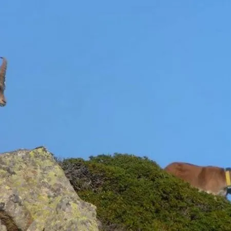 85 M2 De Plain-pied, 2chambres, 3 Lits Dans Maison Confortable Avec Vue Sur La Vallee Et Les Pyrenees Ariegeoises, Grande Terrasse Avec Barbecue Et Parking Gratuit Daire Castéras