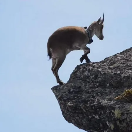 85 M2 De Plain-pied, 2chambres, 3 Lits Dans Maison Confortable Avec Vue Sur La Vallee Et Les Pyrenees Ariegeoises, Grande Terrasse Avec Barbecue Et Parking Gratuit * Castéras