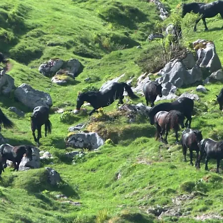 Daire 85 M2 De Plain-pied, 2chambres, 3 Lits Dans Maison Confortable Avec Vue Sur La Vallee Et Les Pyrenees Ariegeoises, Grande Terrasse Avec Barbecue Et Parking Gratuit Castéras