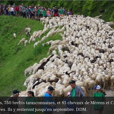 85 M2 De Plain-pied, 2chambres, 3 Lits Dans Maison Confortable Avec Vue Sur La Vallee Et Les Pyrenees Ariegeoises, Grande Terrasse Avec Barbecue Et Parking Gratuit Appartement