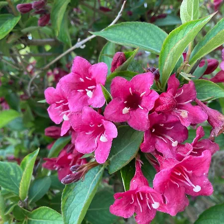 85 M2 De Plain-pied, 2chambres, 3 Lits Dans Maison Confortable Avec Vue Sur La Vallee Et Les Pyrenees Ariegeoises, Grande Terrasse Avec Barbecue Et Parking Gratuit Apartmán