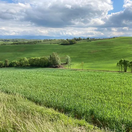 Appartement 85 M2 De Plain-pied, 2chambres, 3 Lits Dans Maison Confortable Avec Vue Sur La Vallee Et Les Pyrenees Ariegeoises, Grande Terrasse Avec Barbecue Et Parking Gratuit