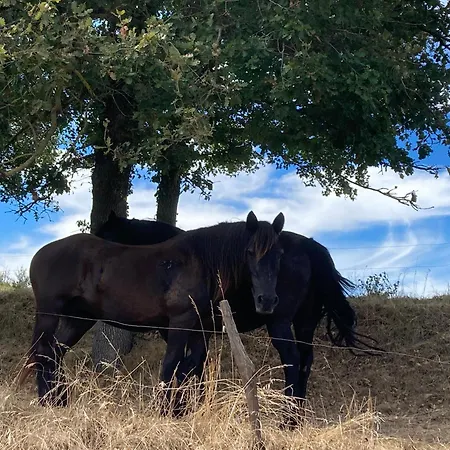 85 M2 De Plain-pied, 2chambres, 3 Lits Dans Maison Confortable Avec Vue Sur La Vallee Et Les Pyrenees Ariegeoises, Grande Terrasse Avec Barbecue Et Parking Gratuit Castéras