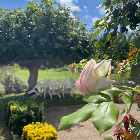 85 M2 De Plain-pied, 2chambres, 3 Lits Dans Maison Confortable Avec Vue Sur La Vallee Et Les Pyrenees Ariegeoises, Grande Terrasse Avec Barbecue Et Parking Gratuit Castéras