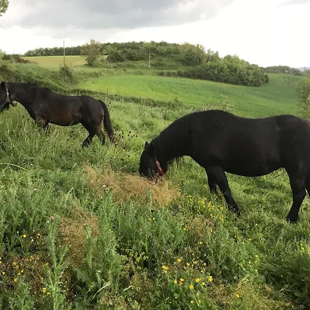 Daire 85 M2 De Plain-pied, 2chambres, 3 Lits Dans Maison Confortable Avec Vue Sur La Vallee Et Les Pyrenees Ariegeoises, Grande Terrasse Avec Barbecue Et Parking Gratuit Castéras