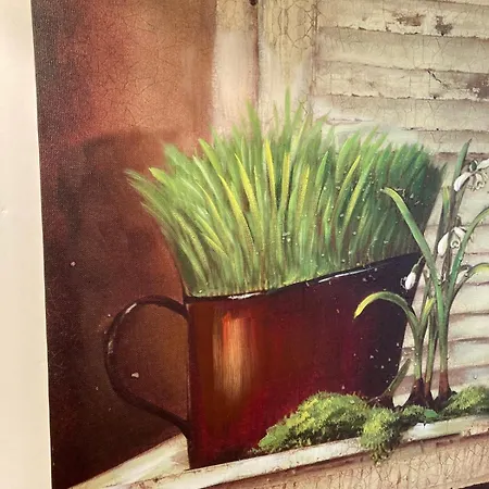 Appartement 85 M2 De Plain-pied, 2chambres, 3 Lits Dans Maison Confortable Avec Vue Sur La Vallee Et Les Pyrenees Ariegeoises, Grande Terrasse Avec Barbecue Et Parking Gratuit Castéras