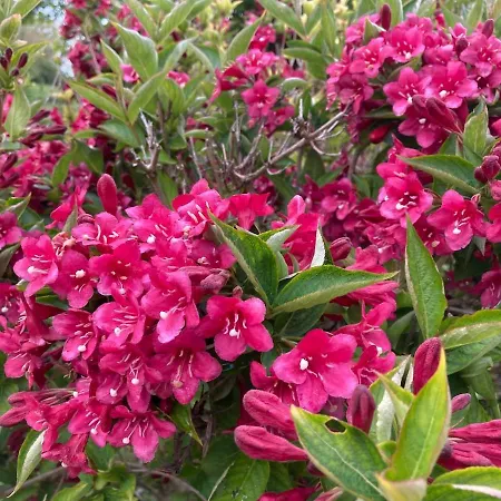 85 M2 De Plain-pied, 2chambres, 3 Lits Dans Maison Confortable Avec Vue Sur La Vallee Et Les Pyrenees Ariegeoises, Grande Terrasse Avec Barbecue Et Parking Gratuit Daire