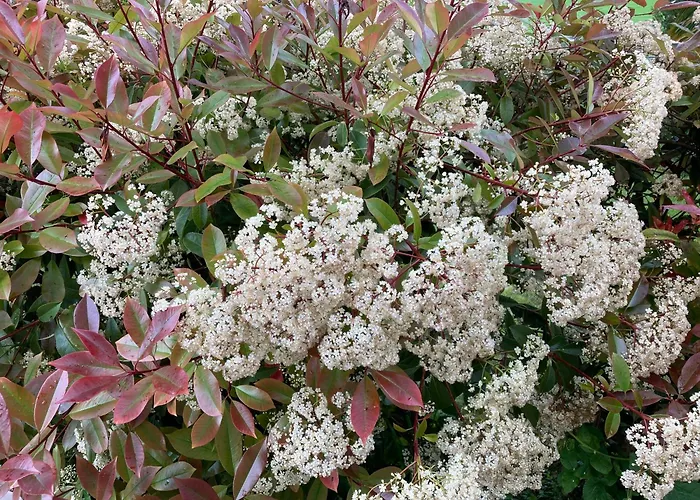 Appartamento 85 M2 De Plain-pied, 2chambres, 3 Lits Dans Maison Confortable Avec Vue Sur La Vallée Et Les Pyrénées Ariégeoises, Grande Terrasse Avec Barbecue Et Parking Gratuit