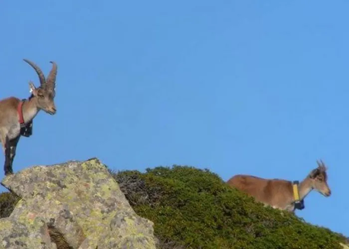 85 M2 De Plain-pied, 2chambres, 3 Lits Dans Maison Confortable Avec Vue Sur La Vallee Et Les Pyrenees Ariegeoises, Grande Terrasse Avec Barbecue Et Parking Gratuit Apartmán Castéras