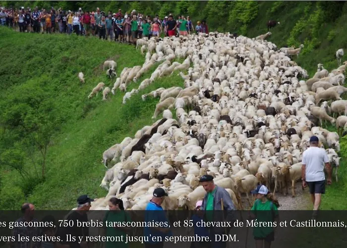 85 M2 De Plain-pied, 2chambres, 3 Lits Dans Maison Confortable Avec Vue Sur La Vallee Et Les Pyrenees Ariegeoises, Grande Terrasse Avec Barbecue Et Parking Gratuit Apartmán