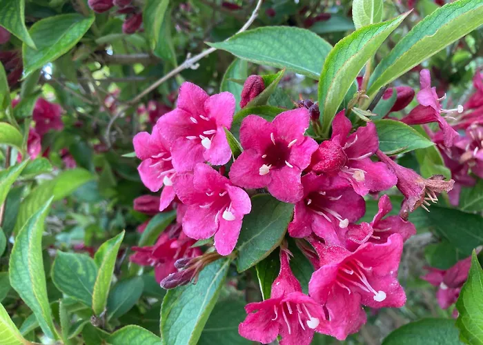 85 M2 De Plain-pied, 2chambres, 3 Lits Dans Maison Confortable Avec Vue Sur La Vallée Et Les Pyrénées Ariégeoises, Grande Terrasse Avec Barbecue Et Parking Gratuit Appartamento