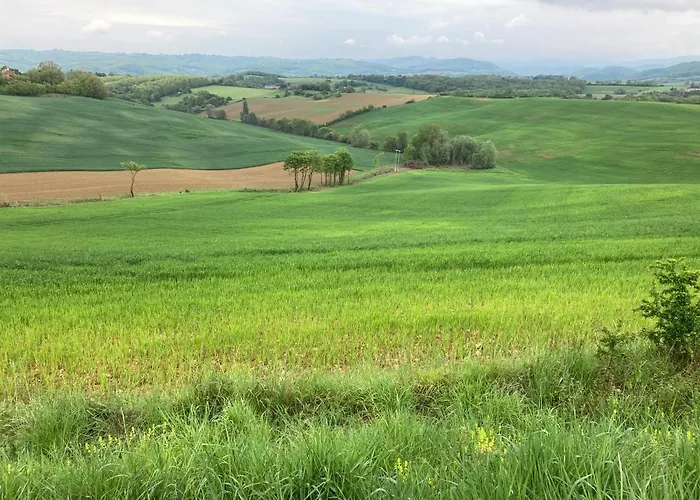 Appartamento 85 M2 De Plain-pied, 2chambres, 3 Lits Dans Maison Confortable Avec Vue Sur La Vallée Et Les Pyrénées Ariégeoises, Grande Terrasse Avec Barbecue Et Parking Gratuit