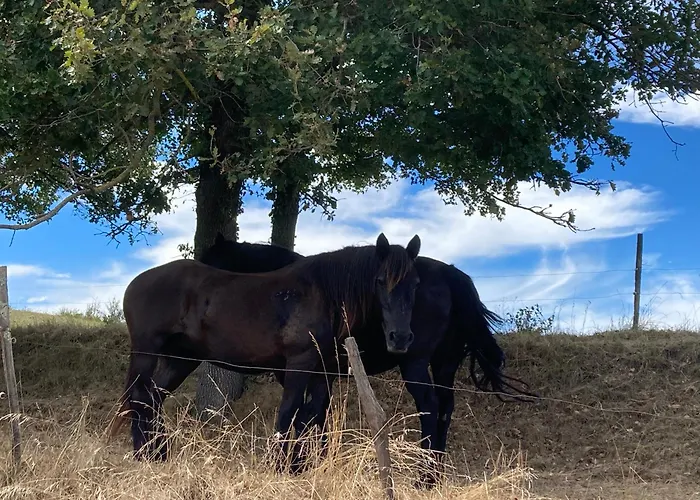 85 M2 De Plain-pied, 2chambres, 3 Lits Dans Maison Confortable Avec Vue Sur La Vallée Et Les Pyrénées Ariégeoises, Grande Terrasse Avec Barbecue Et Parking Gratuit Castéras