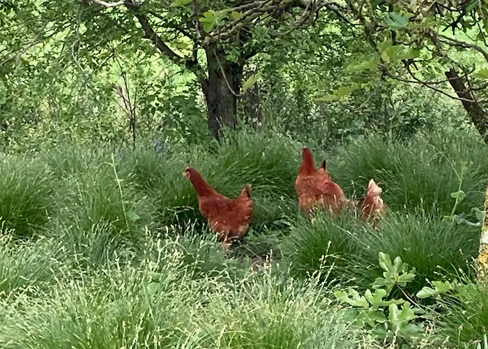 85 M2 De Plain-pied, 2chambres, 3 Lits Dans Maison Confortable Avec Vue Sur La Vallee Et Les Pyrenees Ariegeoises, Grande Terrasse Avec Barbecue Et Parking Gratuit *