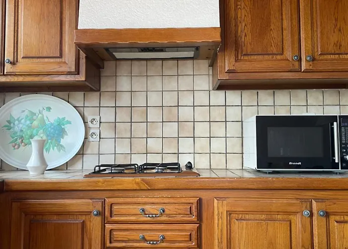 Apartmán 85 M2 De Plain-pied, 2chambres, 3 Lits Dans Maison Confortable Avec Vue Sur La Vallee Et Les Pyrenees Ariegeoises, Grande Terrasse Avec Barbecue Et Parking Gratuit *