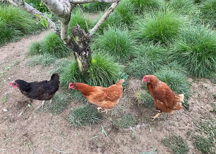 85 M2 De Plain-pied, 2chambres, 3 Lits Dans Maison Confortable Avec Vue Sur La Vallée Et Les Pyrénées Ariégeoises, Grande Terrasse Avec Barbecue Et Parking Gratuit *