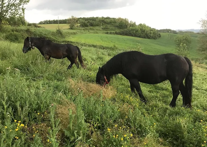 Appartamento 85 M2 De Plain-pied, 2chambres, 3 Lits Dans Maison Confortable Avec Vue Sur La Vallée Et Les Pyrénées Ariégeoises, Grande Terrasse Avec Barbecue Et Parking Gratuit Castéras