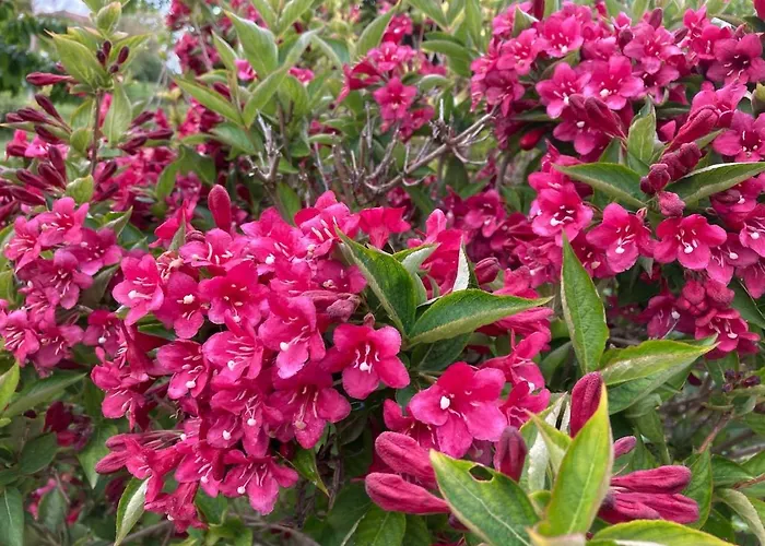 85 M2 De Plain-pied, 2chambres, 3 Lits Dans Maison Confortable Avec Vue Sur La Vallee Et Les Pyrenees Ariegeoises, Grande Terrasse Avec Barbecue Et Parking Gratuit Apartmán